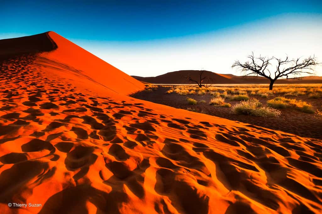 Écrin de sable et de lumière | Désert du Namib